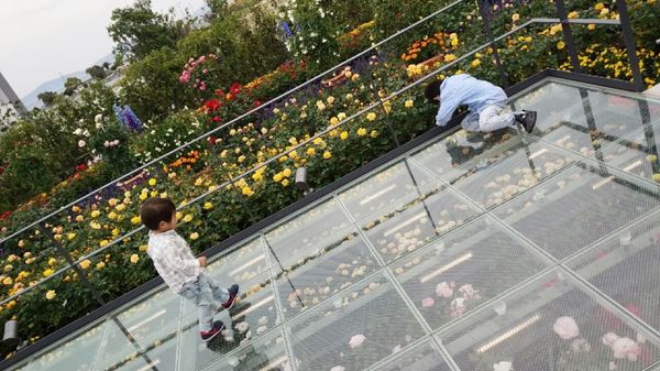 日本・愛知県「ラグーナ蒲郡 in 蒲郡」の写真