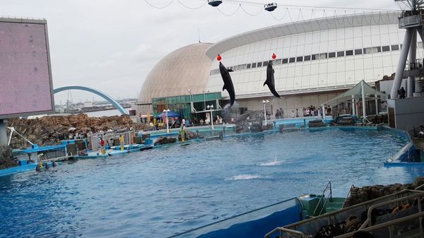日本・愛知県「名古屋港水族館」の写真