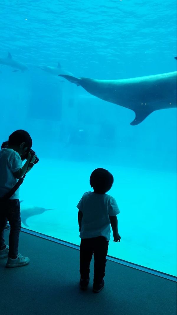 日本・愛知県「名古屋港水族館」の写真