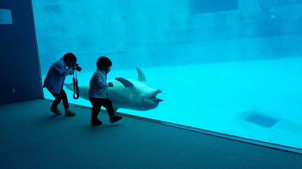 日本・愛知県「名古屋港水族館」の写真