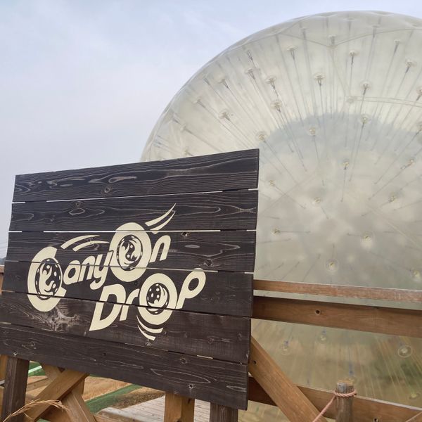 日本・兵庫県「ネスタリゾート」の写真：ガンファイトでわんぱく小学生男児にボロ負...