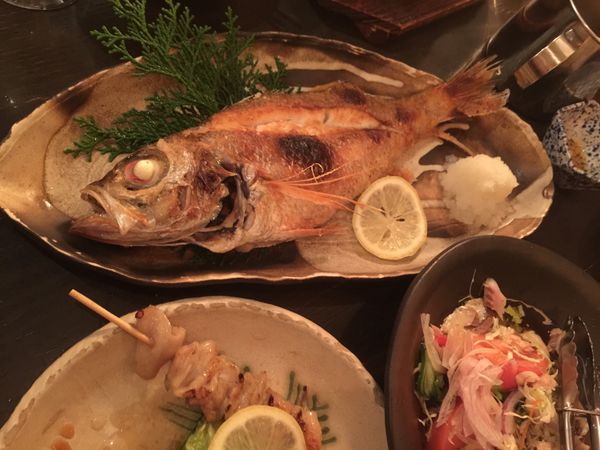 日本・島根県「岡山全国大会キャラバン」の写真