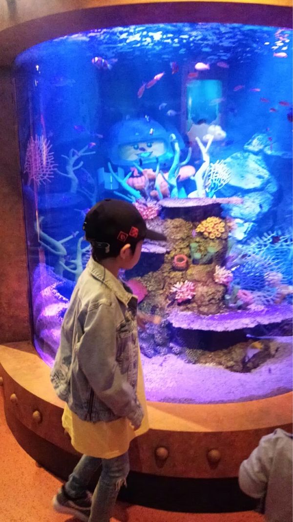 日本・愛知県「レゴランド」の写真