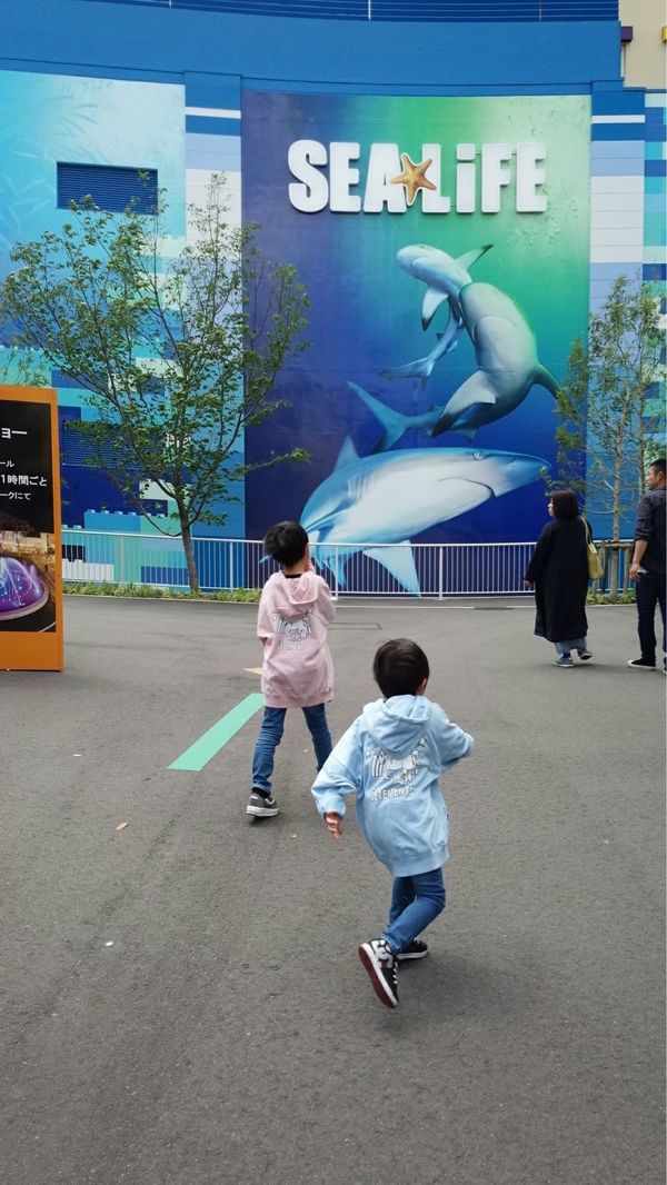 日本・愛知県「レゴランド」の写真