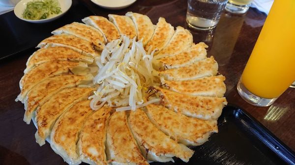 日本・静岡県「静岡旅行 in 浜松」の写真：浜松餃子。