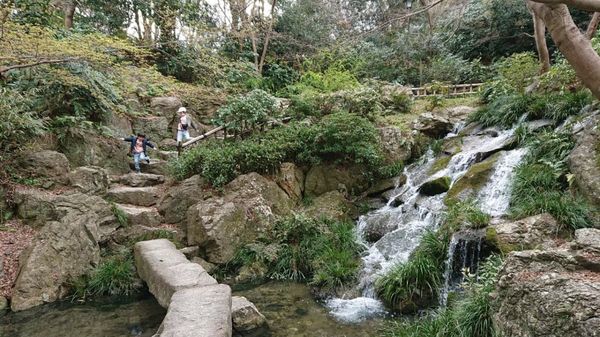 日本・静岡県「静岡旅行 in 浜松」の写真