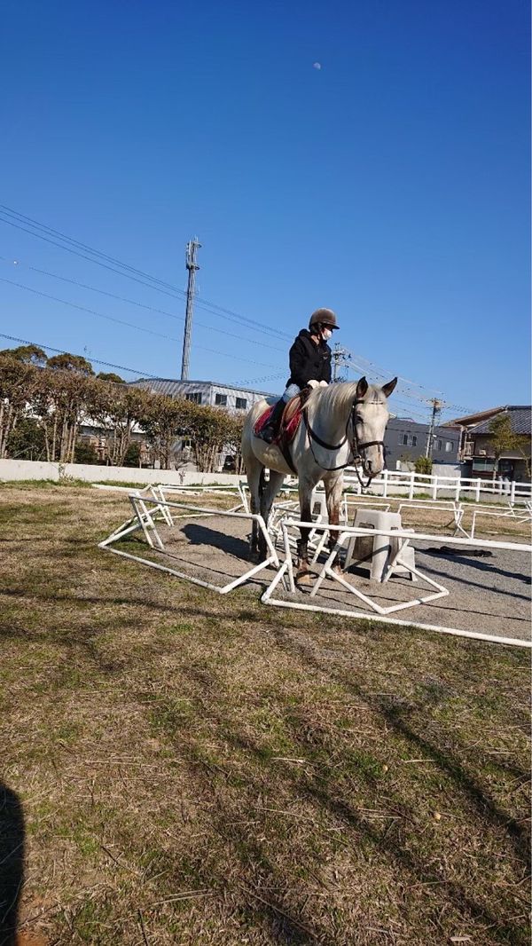 日本・静岡県「静岡旅行 in 浜松」の写真