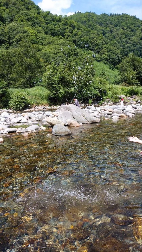日本・岐阜県「夏キャン in いとしろ」の写真