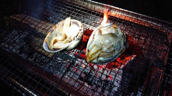 日本・岐阜県「夏キャン in いとしろ」の写真
