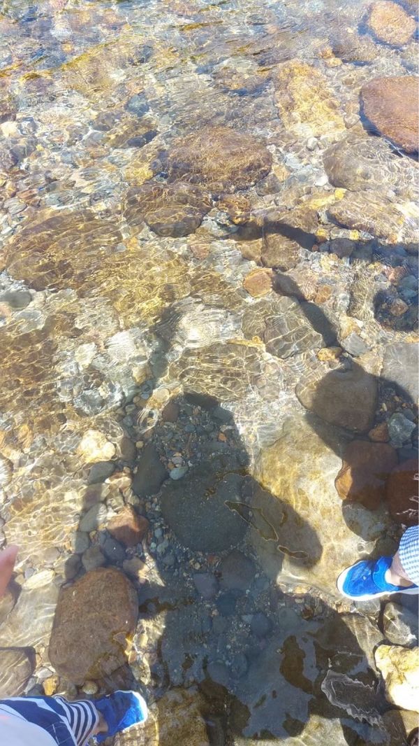 日本・岐阜県「夏キャン in いとしろ」の写真