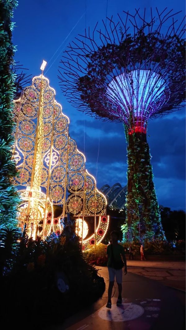 シンガポール・シンガポール「年越し旅行 in シンガポール」の写真