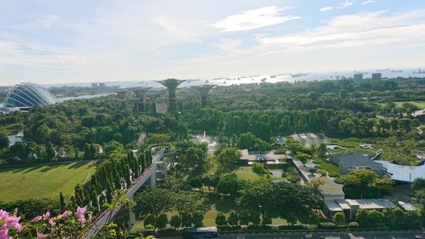 シンガポール・シンガポール「年越し旅行 in シンガポール」の写真
