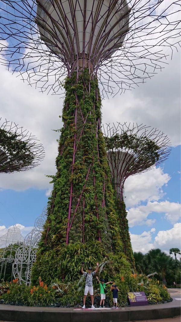 シンガポール・シンガポール「年越し旅行 in シンガポール」の写真