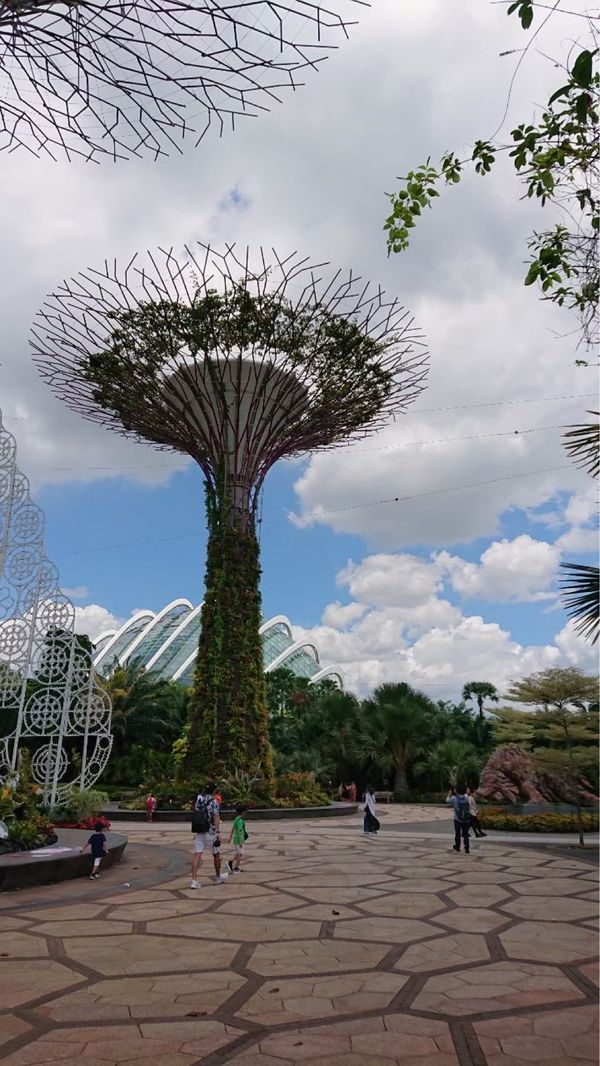 シンガポール・シンガポール「年越し旅行 in シンガポール」の写真