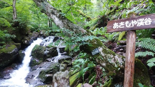 日本・岐阜県「夏キャン in 高山」の写真