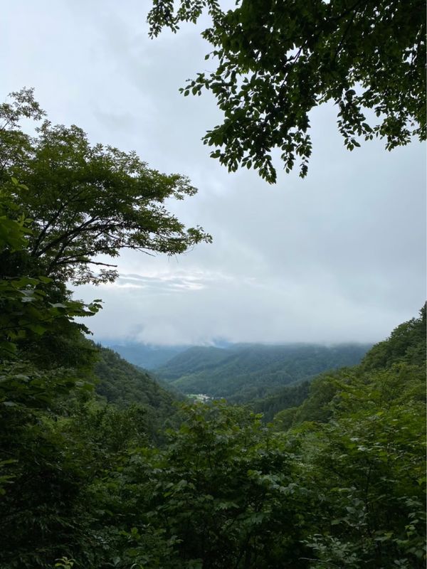 日本・岐阜県「夏キャン in 高山」の写真