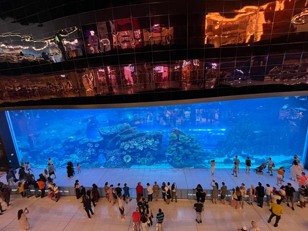 アラブ首長国連邦「DXB✈︎」の写真