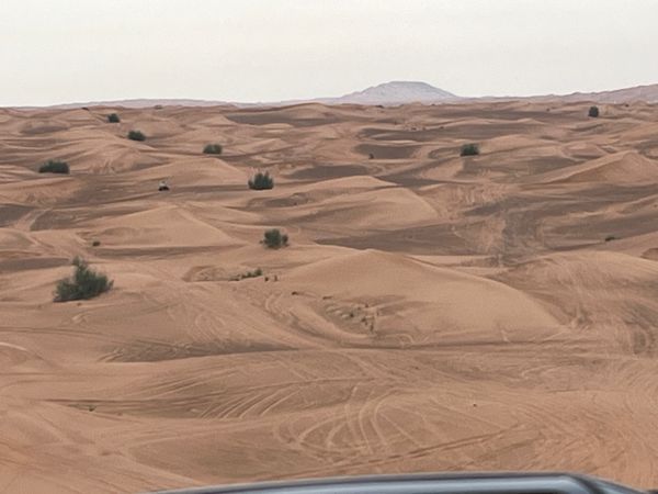 アラブ首長国連邦「DXB✈︎」の写真