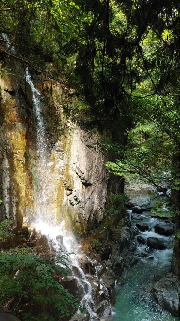 日本・岐阜県「グルキャン at 宮島キャンプ場」の写真