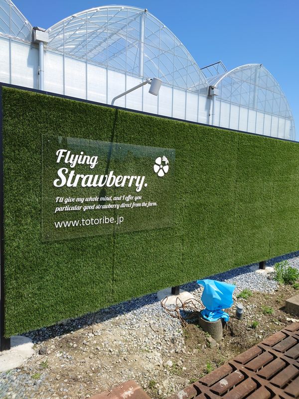 日本・岐阜県「天空のいちご狩り at ととりべファーム」の写真