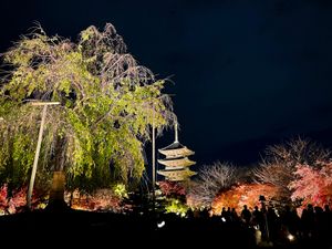 東寺