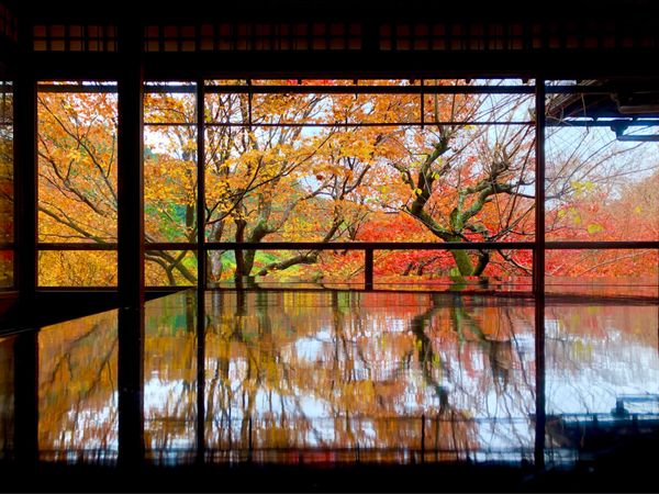 日本・京都府「Kyoto」の写真