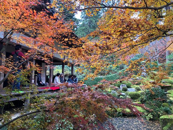 日本・京都府「Kyoto」の写真：寂光院