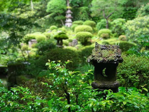 日本・京都府「Kyoto」の写真：三千院　聚碧園