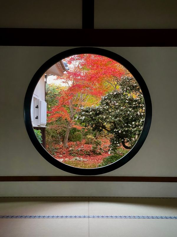 日本・京都府「Kyoto」の写真：源光庵