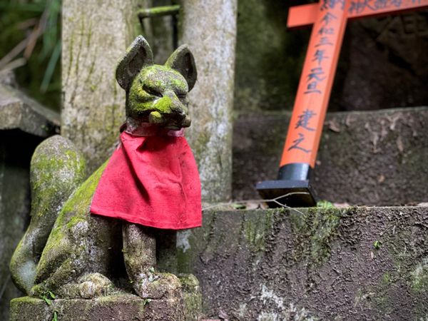 日本・京都府「Kyoto」の写真：伏見稲荷神社