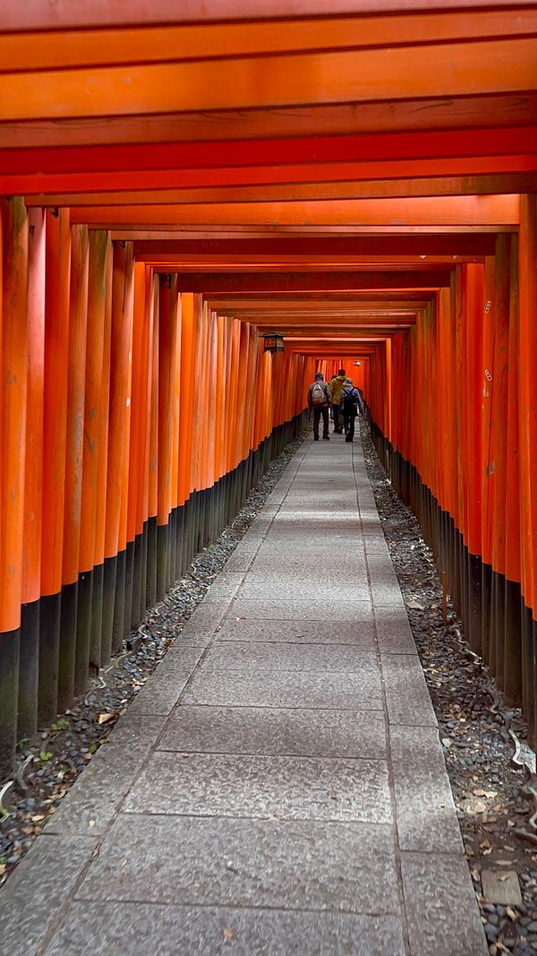 日本・京都府「Kyoto」の写真：伏見稲荷神社
