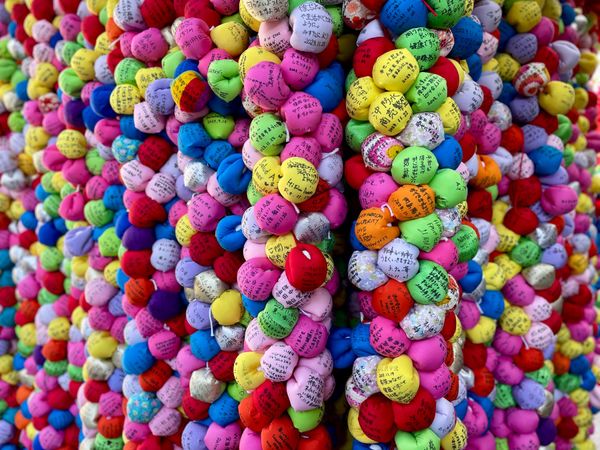 日本・京都府「Kyoto」の写真：金剛寺