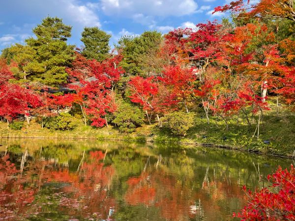 日本・京都府「Kyoto」の写真：高台寺