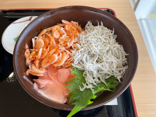 日本・静岡県「浜松/浜名湖旅行」の写真：浜名湖サービスエリア