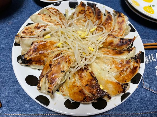 日本・静岡県「浜松/浜名湖旅行」の写真：浜松餃子自宅