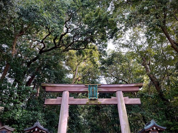日本・日本「Nara」の写真：大神神社