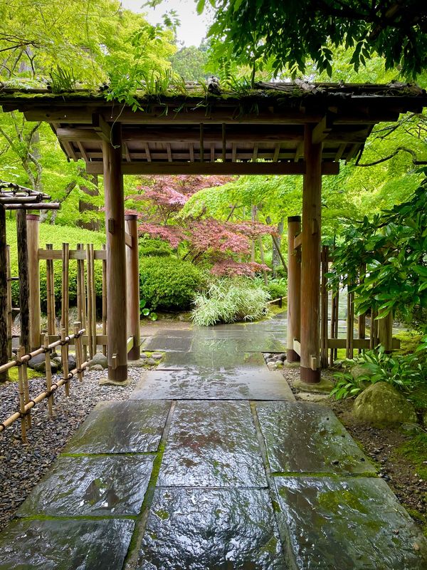 日本・宮城県「Miyagi」の写真：円通院