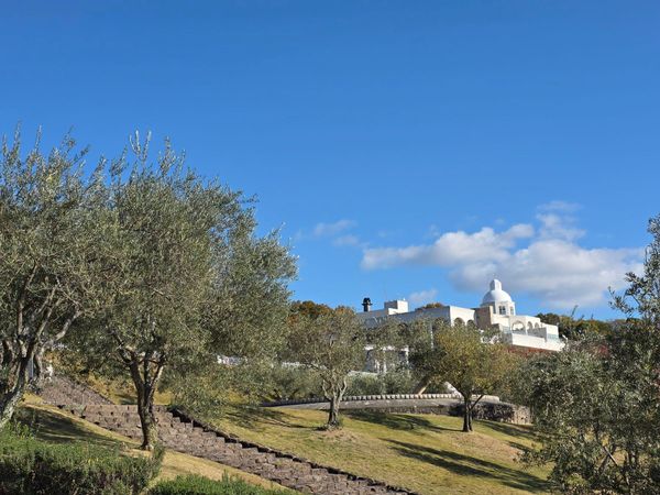 日本・香川県「Kagawa」の写真：小豆島オリーブ公園
