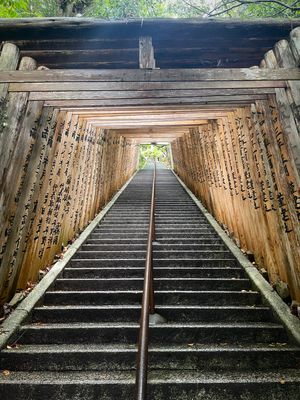 太郎坊宮(阿賀神社)