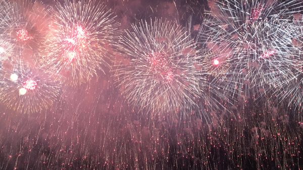 日本・日本「Akita」の写真：大曲　花火大会