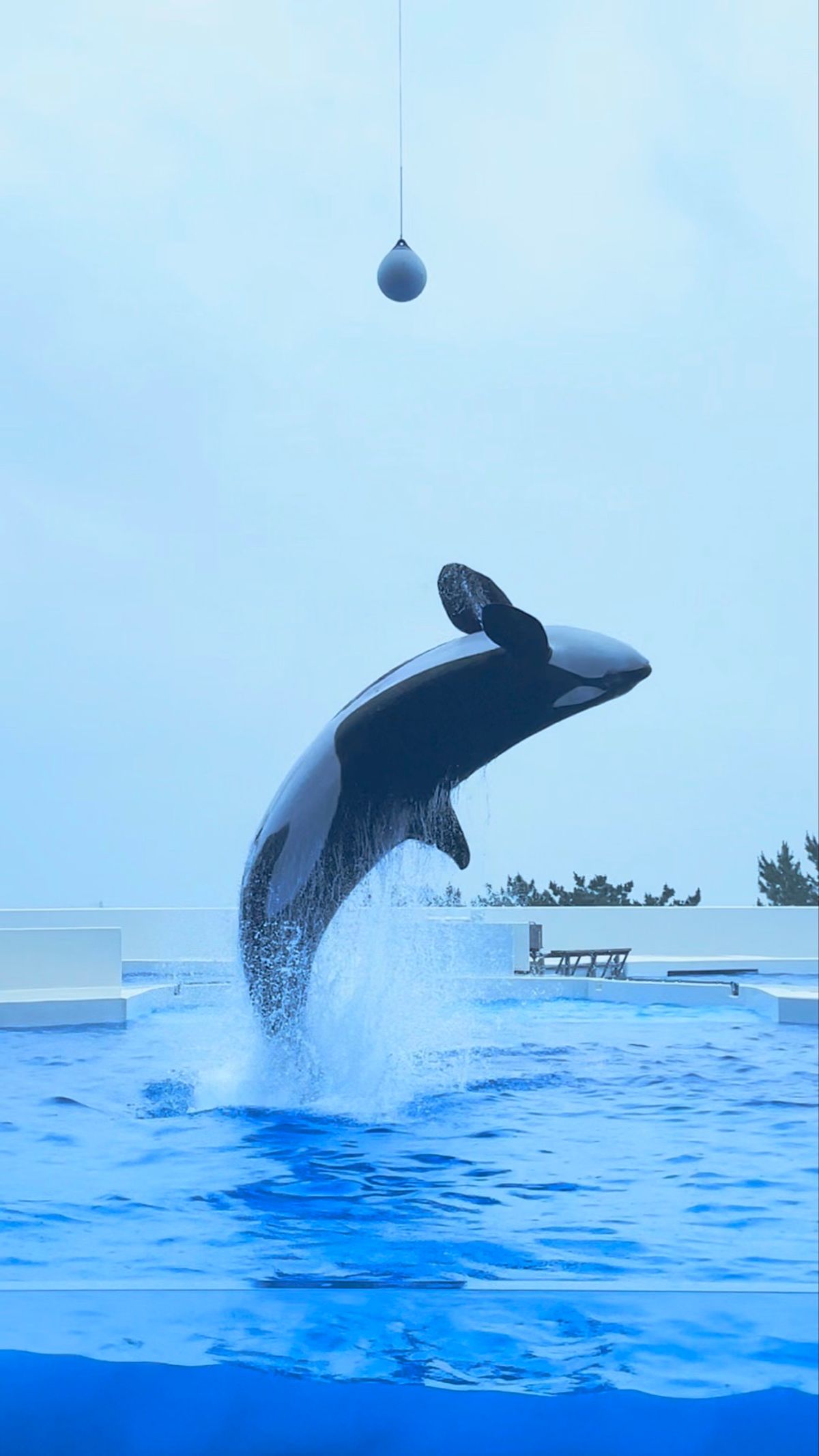 須磨シーワールド