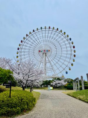 淡路ワールドパーク　ONOKORO