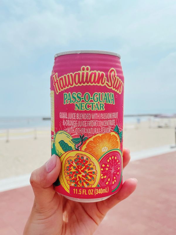 日本・日本「Hyogo」の写真：須磨海水浴場