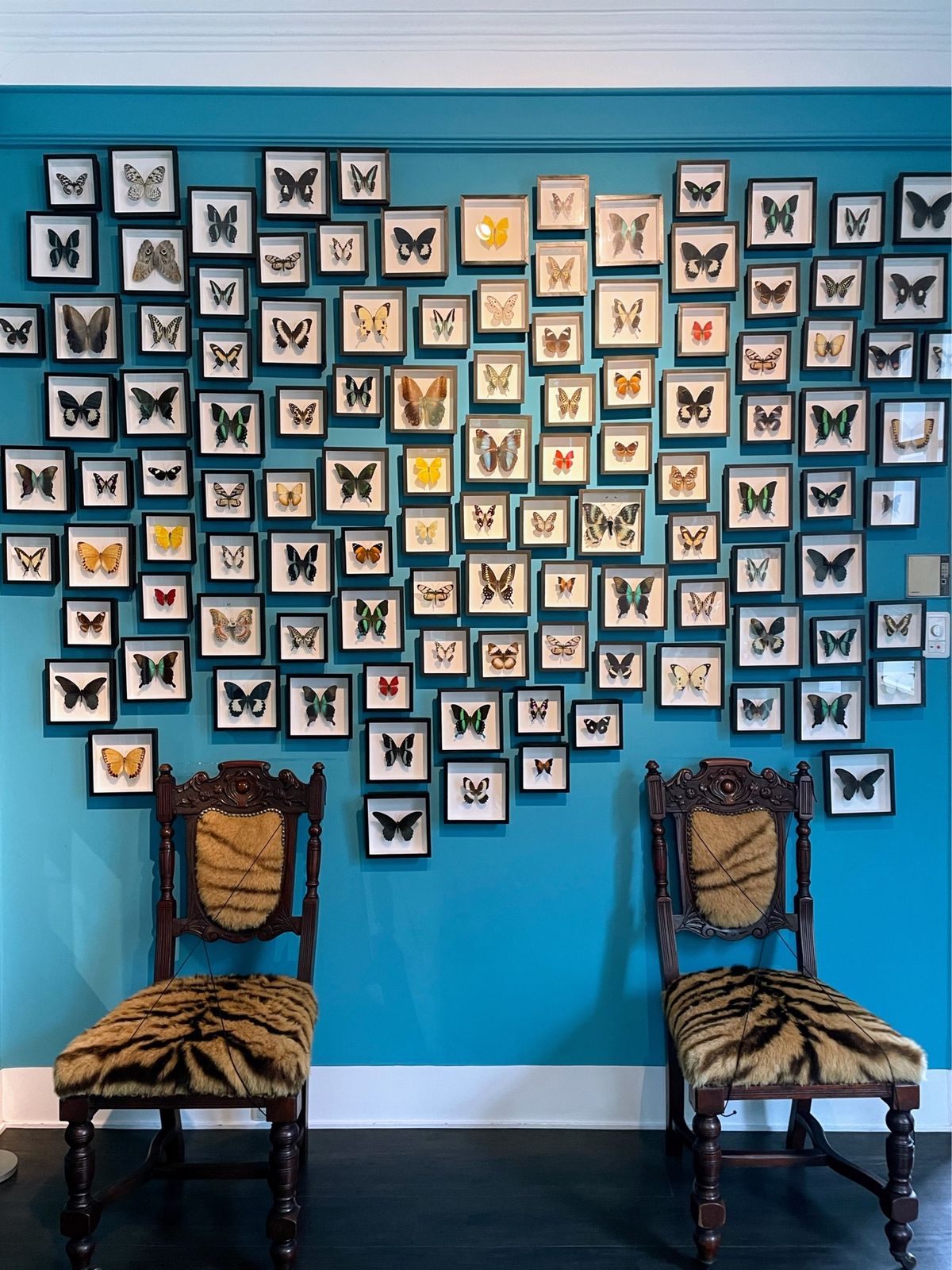 北野異人館　ベンの家