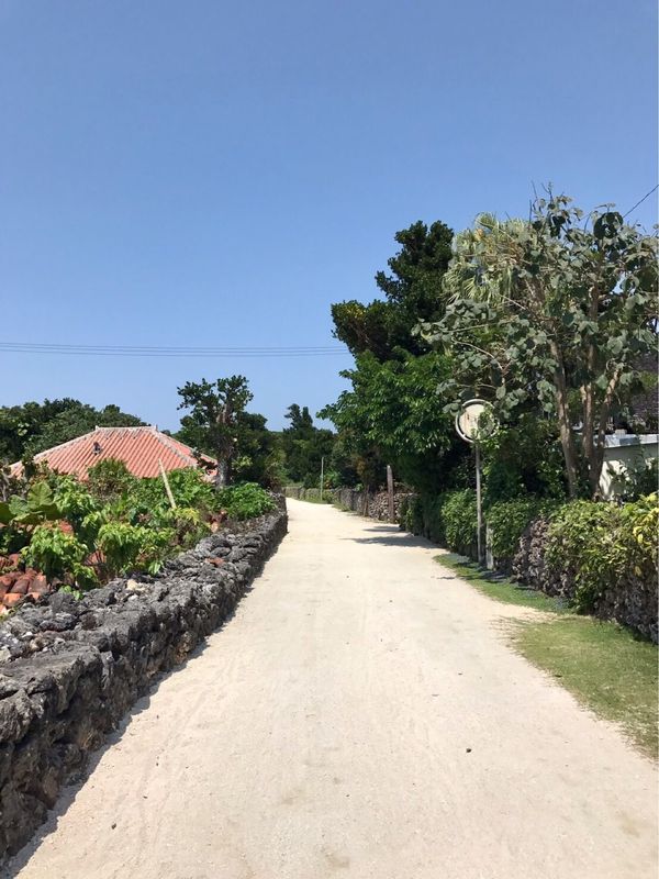 日本・沖縄県「Okinawa」の写真：竹富島