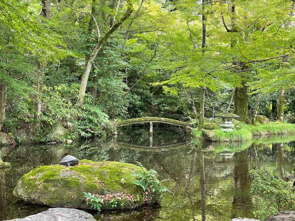 日本・日本「Gifu」の写真：岐阜公園