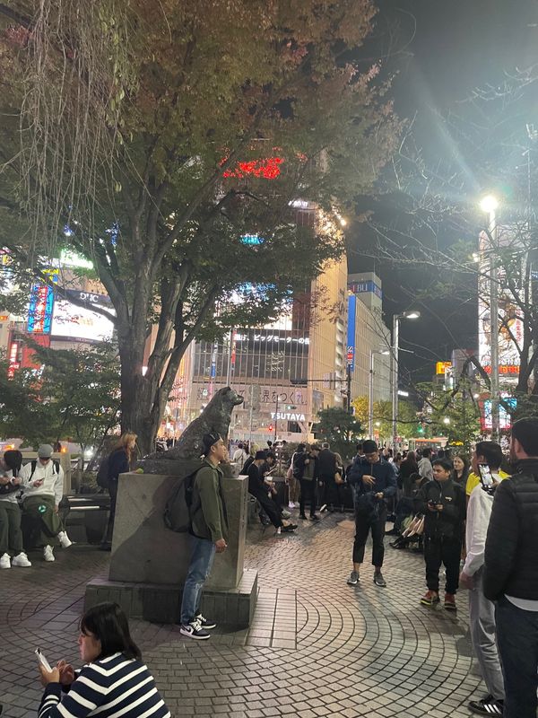 日本・東京都「Tokyo」の写真：渋谷駅