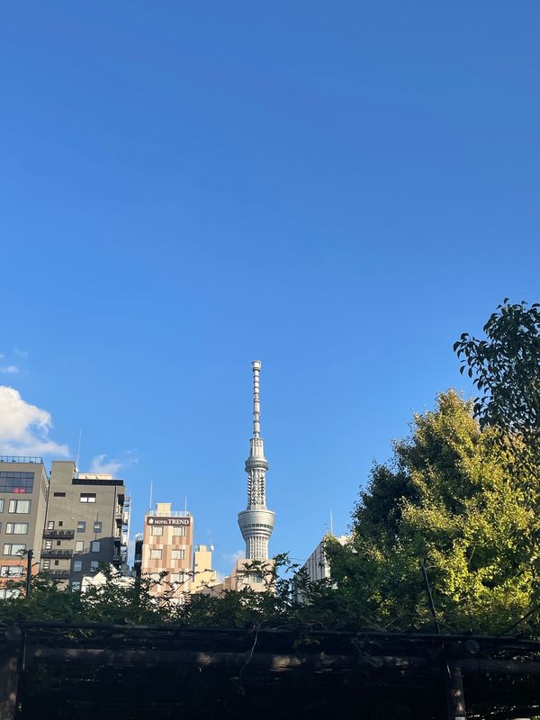 日本・東京都「Tokyo」の写真：スカイツリー