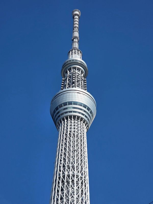 日本・東京都「Tokyo」の写真：東京スカイツリー