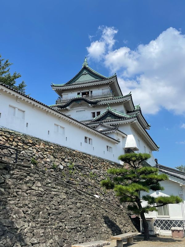 日本・和歌山県「Wakayama」の写真：和歌山城